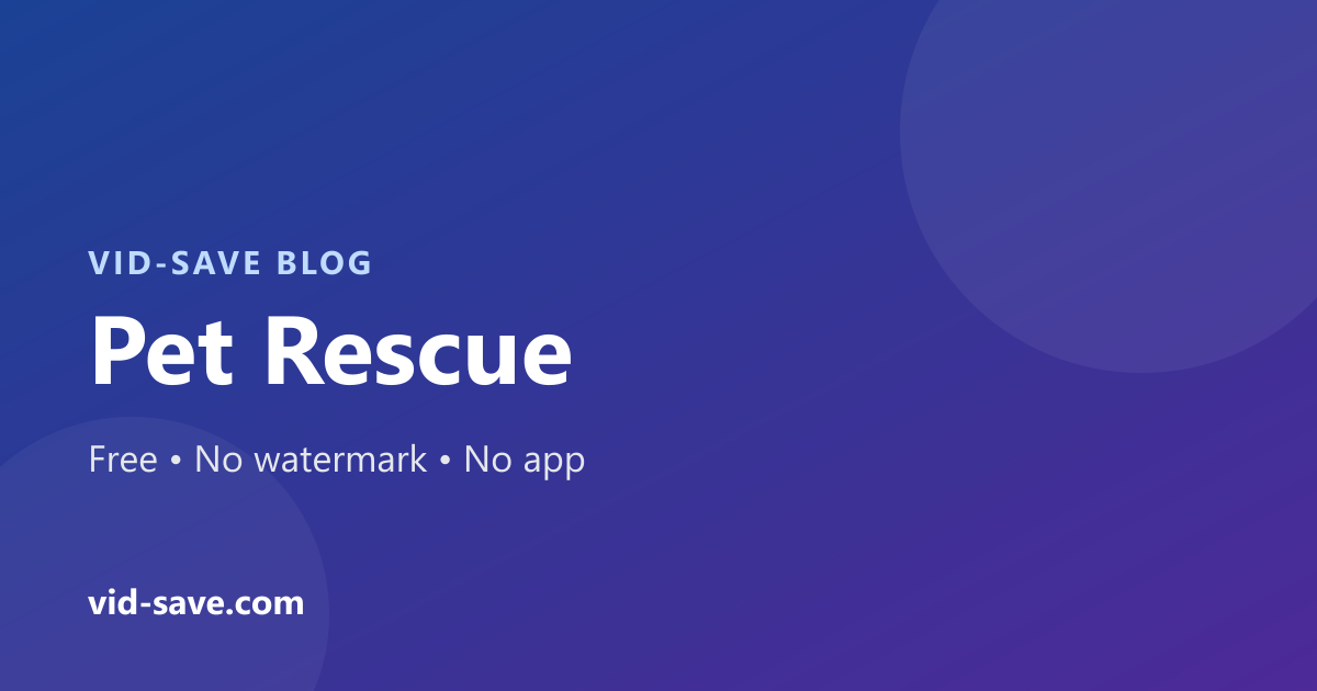 Pet Rescue Networks on Social Networking: Saving Lives Online